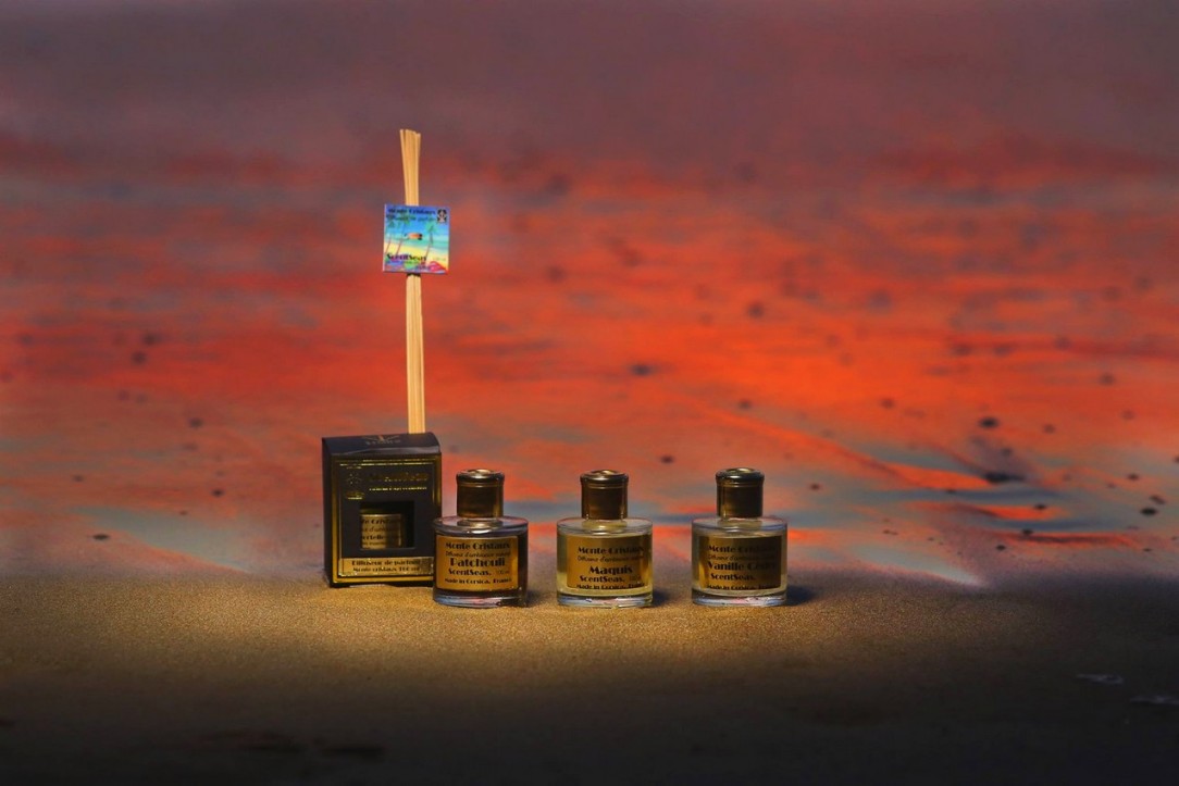 monte cristaux diffuseurs aux huiles essentielles scentseas